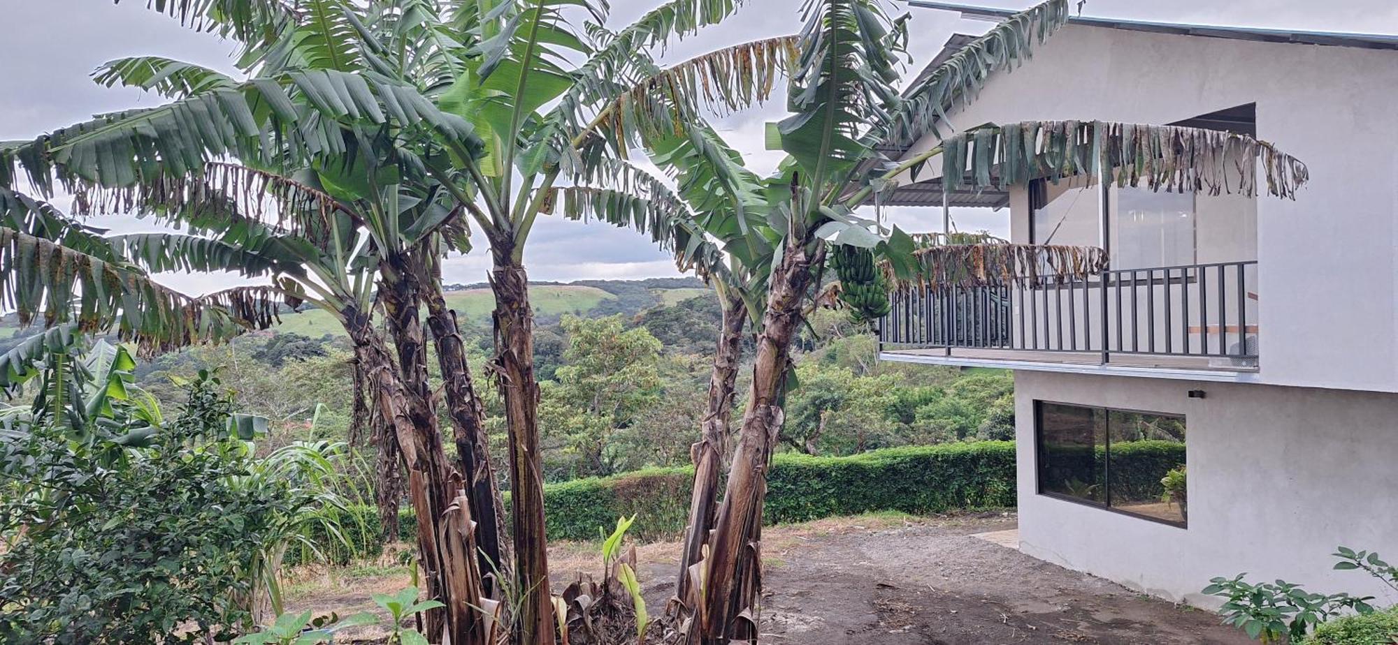 Dream Mountain Cabin, Monteverde Kamer foto