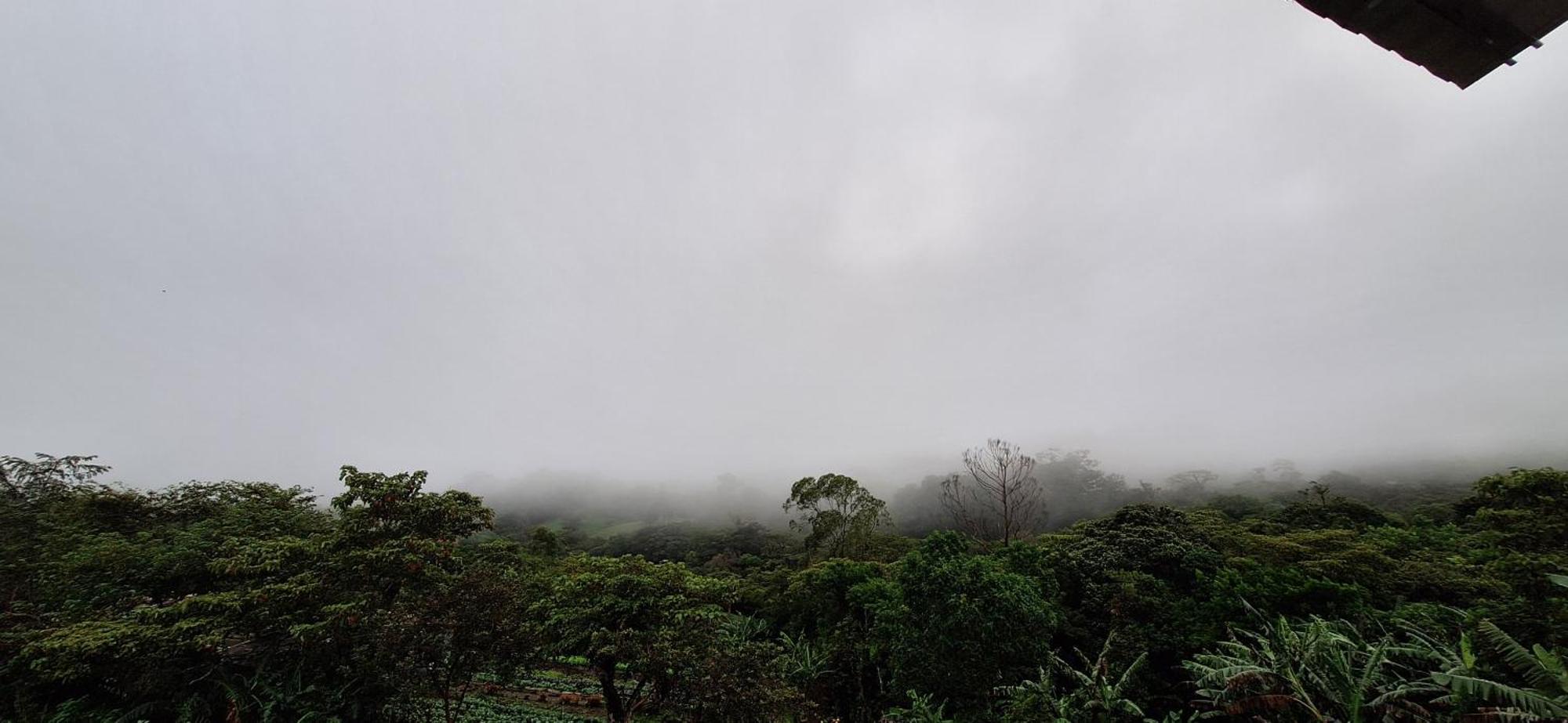 Dream Mountain Cabin, Monteverde Kamer foto