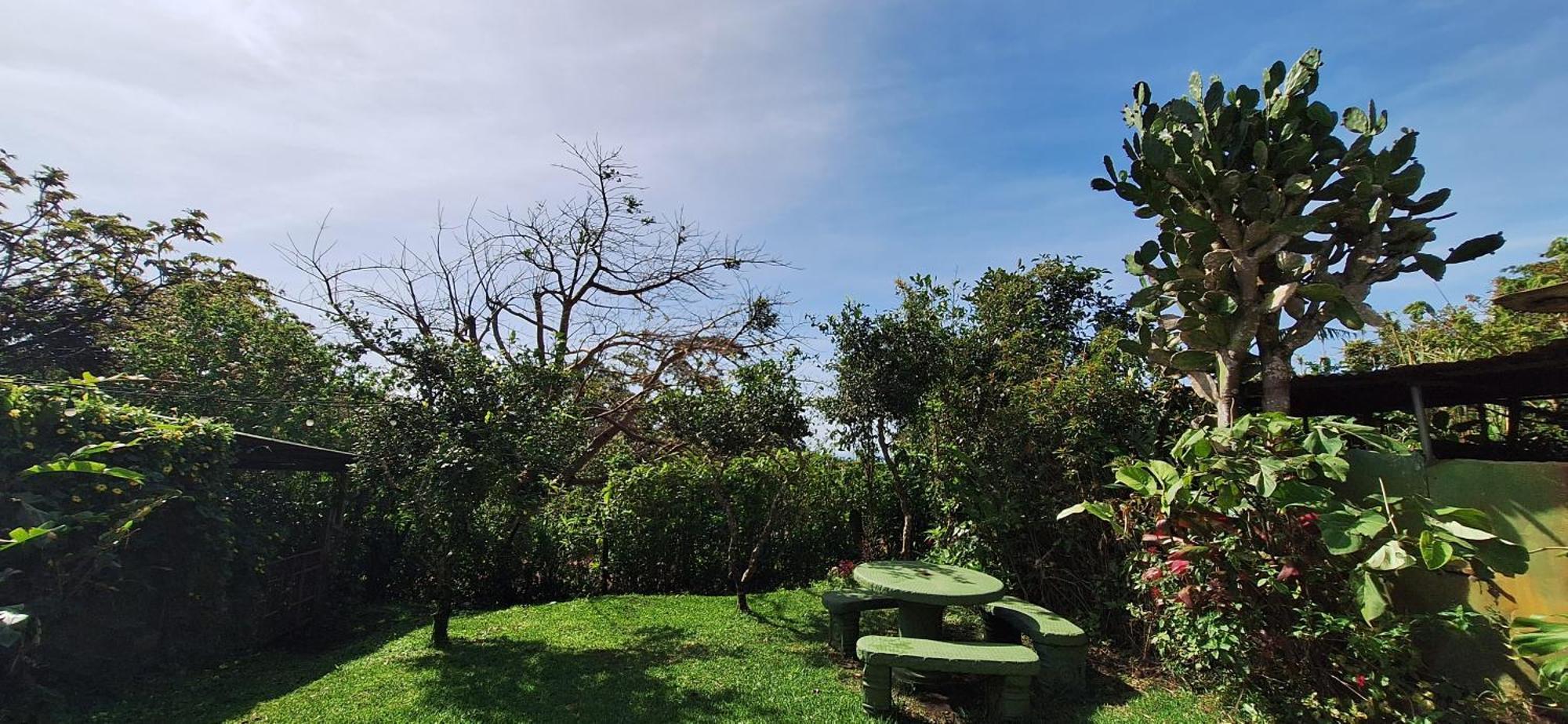 Dream Mountain Cabin, Monteverde Kamer foto